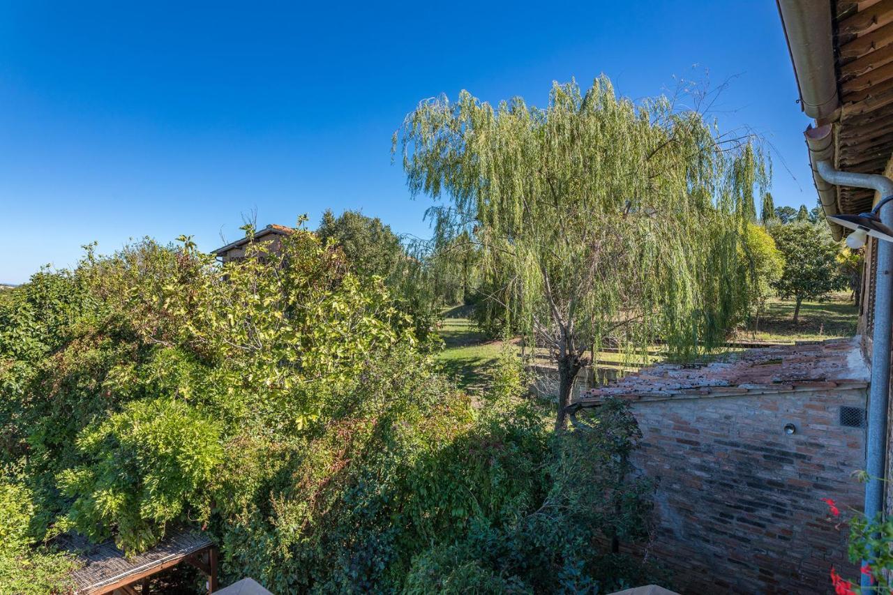 Podere Albereto Buonconvento Exterior foto
